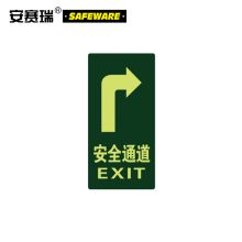 安赛瑞 21619 经济型自发光地贴（安全通道 箭头向右）10片装 295×145mm（单位：包）