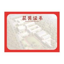 迎赢 小学获奖证书内芯（单位：张）