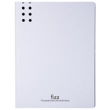 飞兹 FZ002387-DW 长押夹文件夹 A4 背宽20mm 单位：个 白色