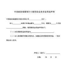 国产 SX-JK07 A4 定制 小额贷款业务资金用途声明（单位：本）