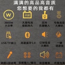 特美声 SL12-31 15寸广场音箱 黑（单位：件）