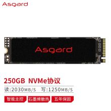 阿斯加特 250GB SSD固态硬盘 M.2接口(NVMe协议) AN2极速版/石墨烯散热/五年质保（单位：个）