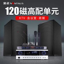 金正  V8-12 音箱 12寸（单位：对）