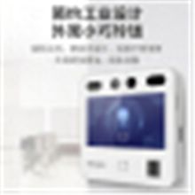 海康威视 D10 Pro 人脸识别指纹密码一体门禁考勤机4.3吋触摸屏200万双摄像头面部识别打卡机（单位：台）
