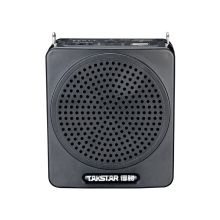 得胜 E180C 便携式可插卡扩音器 2.4g无线版 黑色 （单位：套）