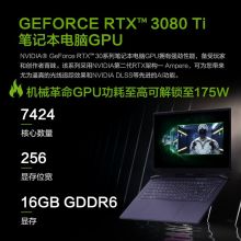 机械革命 旷世17.3英寸 12代i9处理器 RTX3080Ti显卡 64GB内存 单位：台
