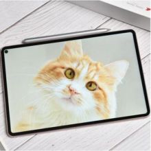华为 MatePad Pro 10.8英寸平板电脑（8G/256GB/5G版/M-Pencil套装/MatePad Pro智能磁吸键盘）（单位:套）