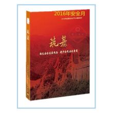 国产 DVD筑基 全国安全生产月警示宣传片 2张 黑色 （单位：套）