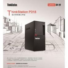 联想 ThinkStation P318（i5/8G/1T/P400）工作站（i5-7500处理器/8GB DDR4内存/1TB SATA3 7200转3.5寸硬盘/Rambo/Quadro P400 2GB专业独显/DOS系统/250W电源）（单位：台）