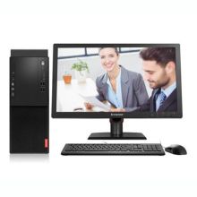 联想 启天M610-D029 i5-6500/4G/1TB/DVDRW/2G独立/19.5寸 黑色