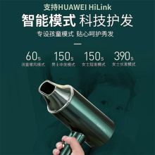 艾优 PF9-H 智能吹风机 墨绿色（单位：套）