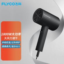 飞科 6297 1800W 电吹风 暗黑（单位：个）