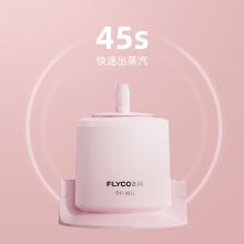 飞科 FI9822 挂烫机 十档蒸汽1500W 淡玉色（单位：个）