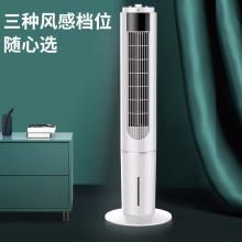 美菱 MPK-DC0884 340*340*1060mm 上下加水机械款家用落地塔扇 白色（单位：台）