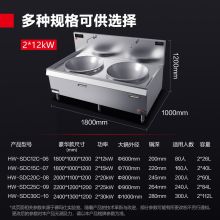 德玛仕（DEMASHI）HW-SDC12C-06 大型双头电磁大锅炉 600mm （304材质）单位：台
