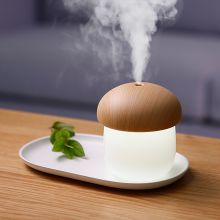 国产 加湿器小型（单位：台）