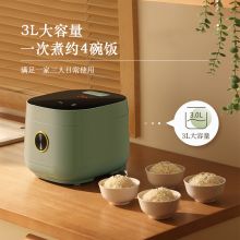 生活元素 F69 3L 多功能电饭锅 浅绿色（单位：台）