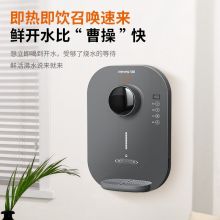 九阳/Joyoung JYW-WG750 壁挂式 管线机家用净水器伴侣 3秒速热 直饮饮水机 灰色（单位：台）