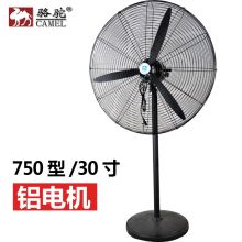 骆驼 750型 塑叶 工业电风扇牛角扇 铝电机网罩直径约80CM 线长1.5m（单位：台）