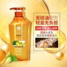 蜂花 750ml  生姜健发洗发水（单位：瓶）