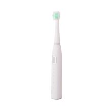 豹牌 BP-DT03 电动牙刷 颜色随机（单位：个）100个起订