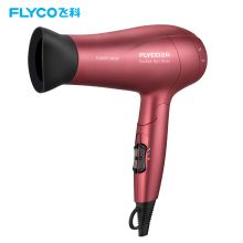 飞科 FH6218 家用大功率发型师专用负离子护发不伤发廊静音电吹风筒（单位：个）