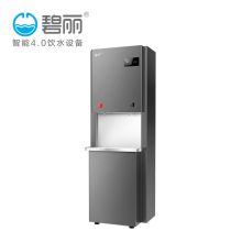 碧丽 K50B-RO 净水器（计价单位：台）黑