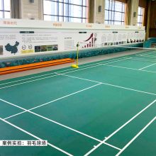 力动 PVCDB 地垫PVC塑胶运动地板 配色（单位：块）