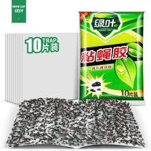 绿叶（Green Leaf）灭苍蝇神器粘蝇胶粘苍蝇纸10片装灭蝇粘板（单位：片）
