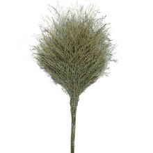 妮管家  竹枝连体4斤 手工扫把 清洁大扫把环卫竹扫帚物业工厂一体式 1个装（单位：把）