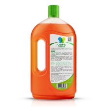 净安 消毒液 1L （单位：瓶）