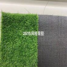 领航 2.5 15针网格背胶-202111200007 - 仿真草坪 1*1