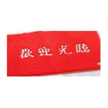 国产 60*90cm 条纹吸水 地毯（单位：张）