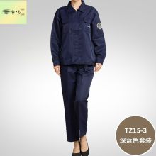 国产 TZA15-3 工作服套装男女式夏季 防酸碱防静电 深蓝色套装 (单位:套)