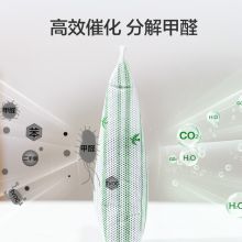 绿之源  Z-0260  360°活性炭包 除甲醛清除剂竹炭包防潮空气清新剂 6000g（单位：箱）