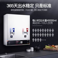 德玛仕 YT-2K(20GY) 步进式全自动直饮机（单位：台）