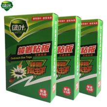 绿叶 GL2014 蟑螂粘板蟑螂药 20片/盒 绿色（单位：盒）