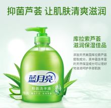 蓝月亮 芦荟抑菌洗手液 300g*2瓶 （单位：组）